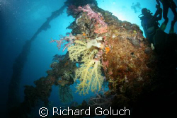 Mast on Sankisan Maru-Truk Lagoon by Richard Goluch 